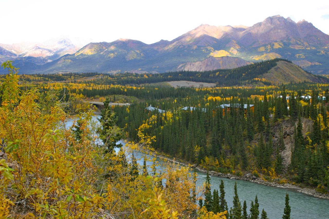 Denali Grizzly Bear Resort Denali Park Exterior photo